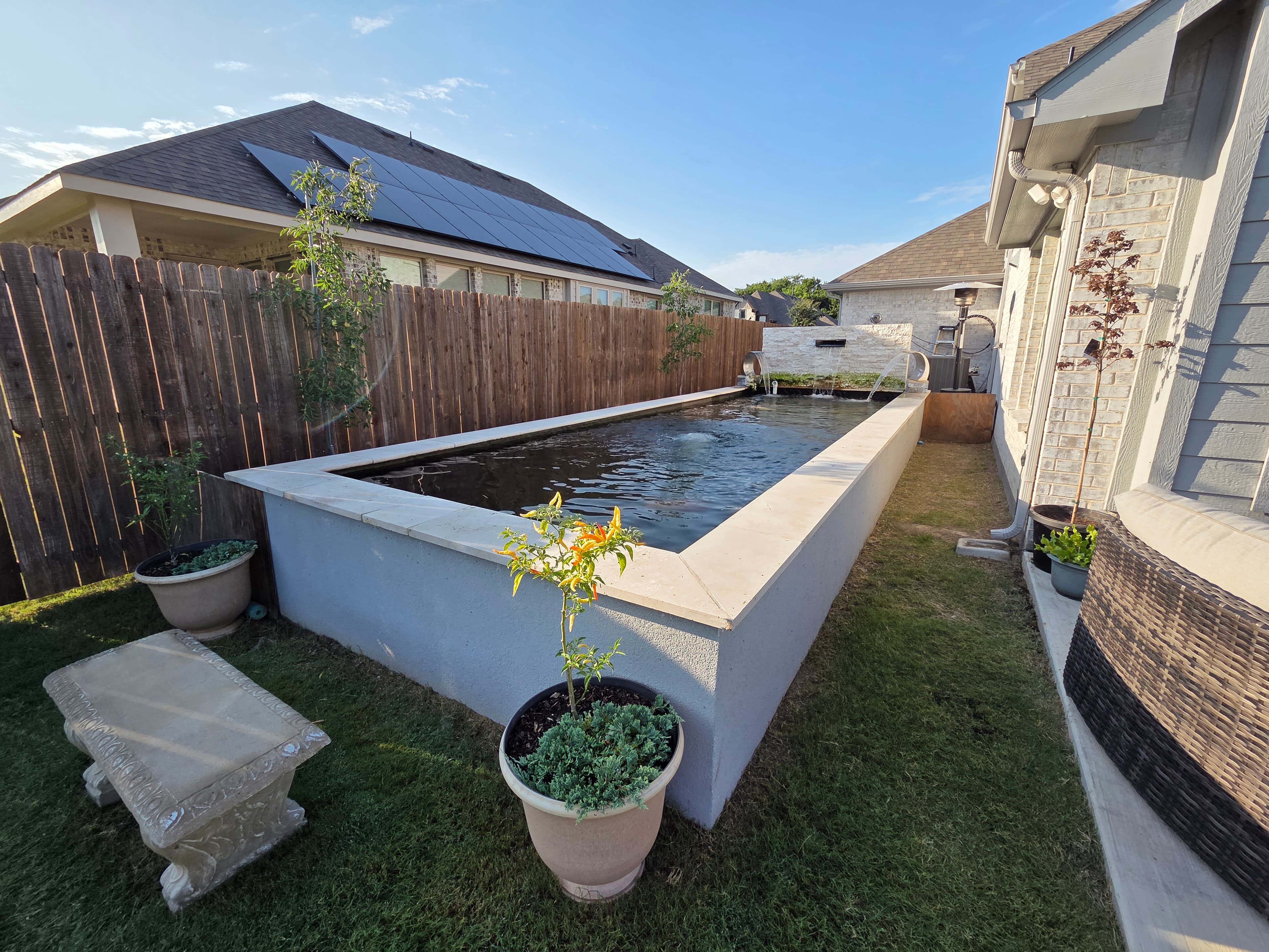 Koi Pond Build